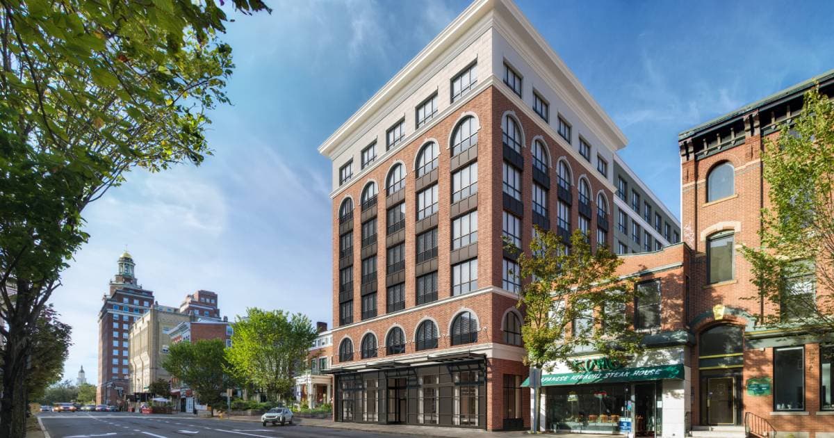 Estelle New Haven marketing visual